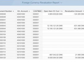 BDF Treasury Dashboard Fremdwährung SAP Analytics