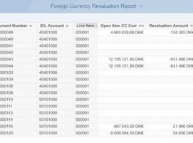 BDF-Treasury-Dashboard-Fremdwährung-SAP-Analytics-big