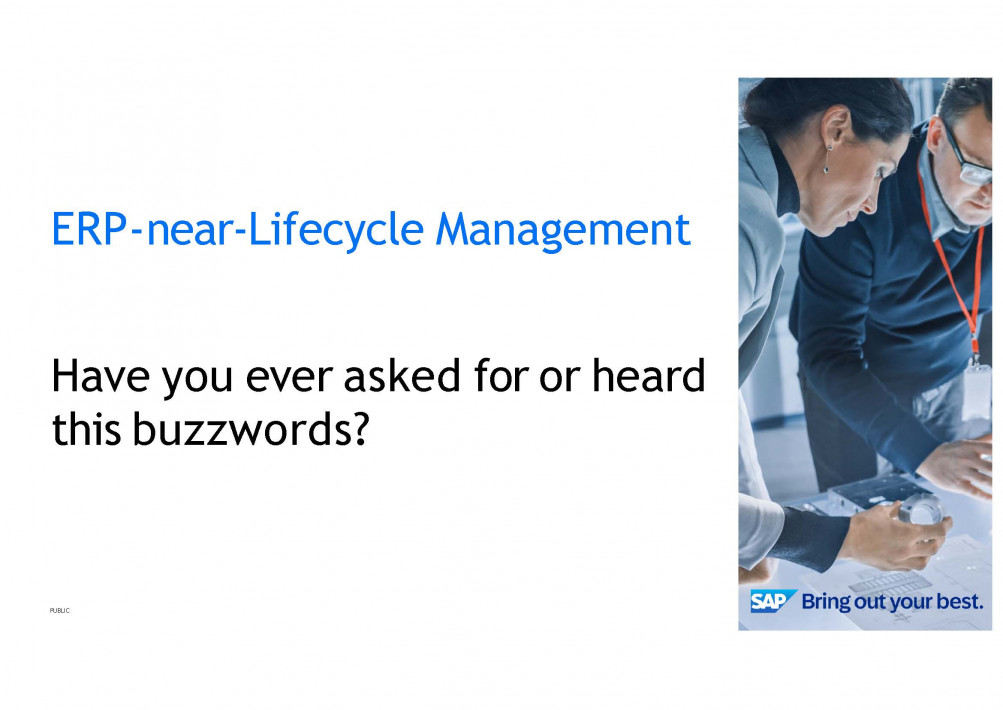 2024-10-30 SAP Product and Process Governance Overview Background_Seite_12