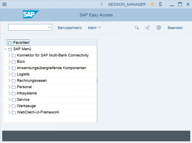 04_SAP GUI clean