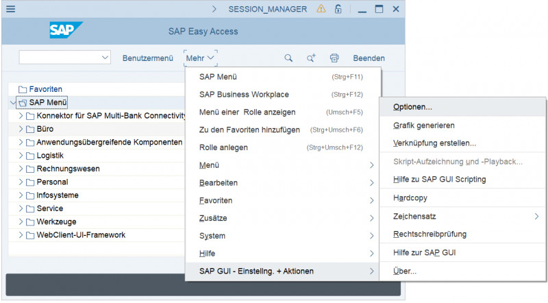 sap gui theme