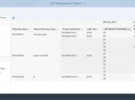 Screenshot LPC Data in SAP Analytics Foundation