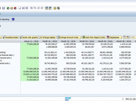 Screenshot LPC under SAP ERP